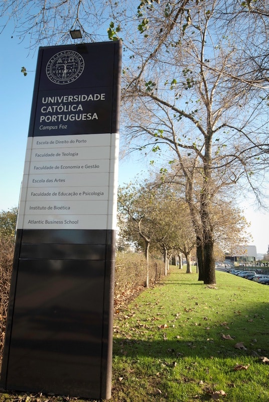 Explora cursos e profissões na Católica Porto