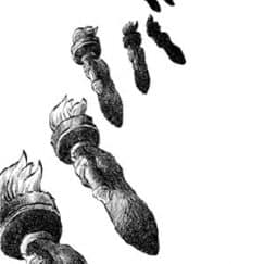 O World Press Cartoon regressa nas Caldas da Rainha!