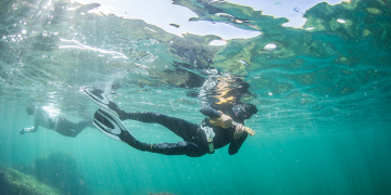 Missão Atlantis em Matosinhos: 2 veleiros pela costa portuguesa