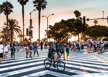 Programa Municipal de comboios de bicicletas de Lisboa