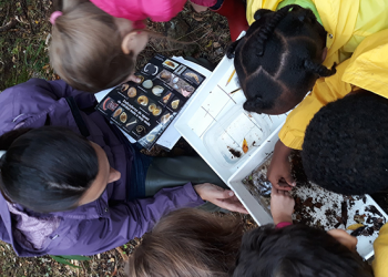 Estudo conclui que as crianças urbanas têm um grande desconhecimento sobre os ecossistemas aquáticos e a sua biodiversidade