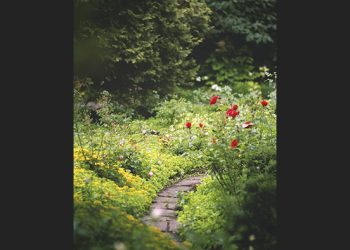 Município de Sintra disponibiliza hortos urbanos a escolas e equipamentos sociais