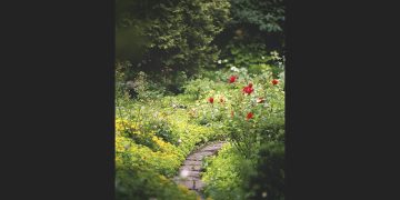 Município de Sintra disponibiliza hortos urbanos a escolas e equipamentos sociais