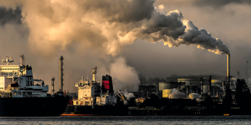 Ministro do Ambiente e da Ação Climática ministra aula a alunos do 9ºAno sobre emergência climática