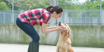Queres ser voluntári@ mas não sabes como A VO.U ajuda te