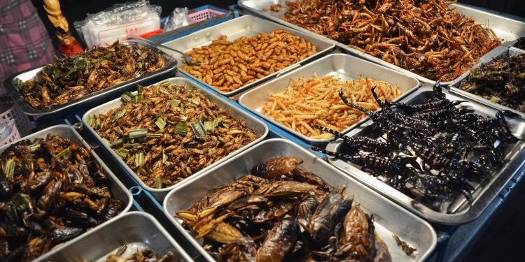 Já é possível comer massa de farinha de insetos nas cantinas do Politécnico de Lisboa