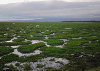 O “Aquila Capital Transformation Award” apoia a investigação para a resolução da crise climática através da inovação