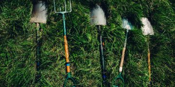 Voluntariado Jovem para a Natureza e Florestas, a oportunidade de fazer a diferença