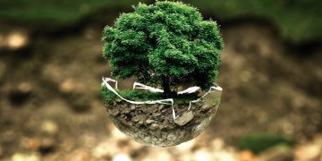 26 escolas distinguidas com a bandeira "Escola + Verde"