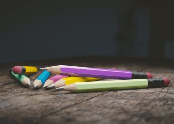 Espaço Lúdico e Cultiv’Arte são os vencedores do Orçamento Participativo Escolar do concelho do Cartaxo