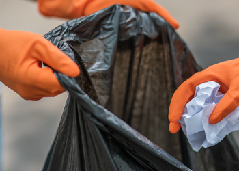 5 Ações Bandeira Azul na Semana do Dia Internacional de Limpeza Costeira 