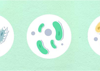 Celebração do Dia Internacional do Microrganismo junta centenas de estudantes 