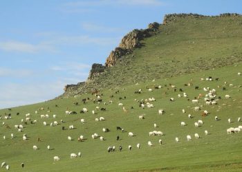 mountains gccdb6c836 640