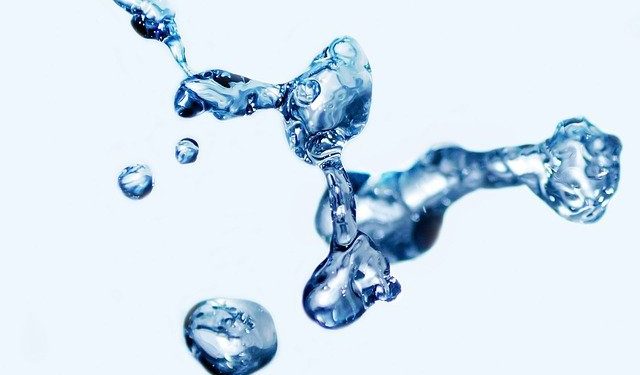 Ciência Viva promove Festa da Água