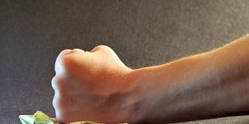 Divulgação das escolas distinguidas com o Selo "Escola Sem Bullying. Escola Sem Violência"