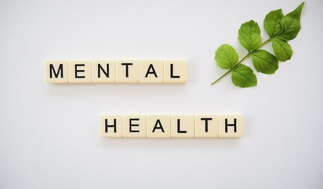 IPDJ promove Dia da Saúde Mental com programa Cuida-te + e Dias Abertos 