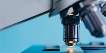 IPS abre portas a alunos do secundário para Semana da Ciência e da Tecnologia 