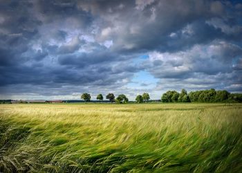 Ativismo ambiental: estudantes ocupam escolas pelo Movimento Fim Ao Fóssil