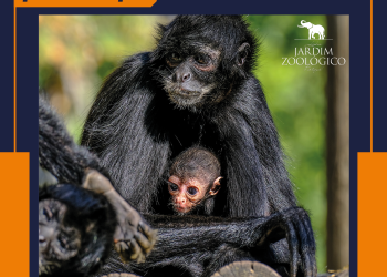 O natal já chegou! Queres ganhar convites duplos para o Jardim Zoológico?