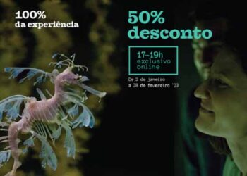 Vai ao Oceanário de Lisboa a metade do preço