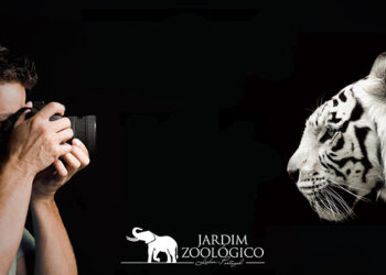 Jardim Zoológico apresenta a agenda de novos Workshops para 2023