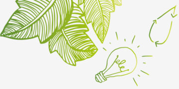 Como estar consciente e tomar decisões ambientalmente informadas? Investe na educação e na partilha!