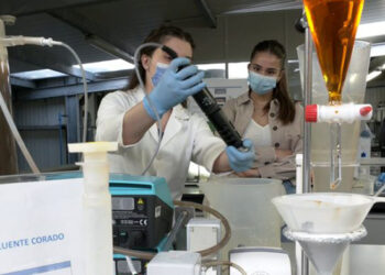 Queres seguir Engenharia? Descobre tudo sobre a profissão na FEUP!