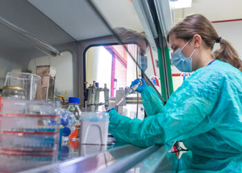 A Universidade de Aveiro (UA) assume, pela primeira vez, a liderança nacional, considerando apenas o número de citações científicas por docente/investigador, de acordo com o Ranking QS de Instituições de Ensino Superior, ocupando, agora, a terceira posição, após subir dois lugares. Já a nível mundial, a Instituição de Ensino Superior (IES) aveirense ficou colocada na posição 344, com um notável aumento de 166 lugares, sendo que o indicador “citações por docente” conduziu-a à posição 98. Aos indicativos utilizados nas edições anteriores, a Quacquarelli Symonds (QS) acrescentou mais três que refletem as prioridades dos alunos e a evolução dos Estabelecimentos de Ensino Superior, assumindo um compromisso com a sustentabilidade; prestam maior apoio no processo de empregabilidade dos seus diplomados e reconhecem a necessidade de uma maior colaboração internacional na investigação para enfrentar desafios mundiais: Academic Reputation (Reputação Académica); Citations per Faculty (Citações por Docentes); Employer Reputation (Reputação na perspetiva dos Empregadores); Employment Outcomes (Empregabilidade); Faculty Student Ratio (Proporção Corpo Docente / Estudantes); International Students (Alunos Internacionais); International Faculty (Docentes Internacionais); International Research Network - IRN (Rede Internacional de Investigação), que avalia a capacidade de cooperação das IES na área da investigação, através da diversidade geográfica dos parceiros mundiais; Sustainability (Sustentabilidade). O Ranking avaliou 2963 Instituições de Ensino Superior, tendo classificado em Portugal, pela primeira vez, o ISCTE-IUL - Instituto Universitário Lisboa. Contudo, a liderança nacional foi conquistada pela Universidade do Porto, posicionando-se em 253º lugar, enquanto que o pódio mundial ficou a cargo do Massachusetts Institute of Technology, MIT (USA), líder mundial pelo 12º ano consecutivo, sendo que a Universidade de Cambridge renovou a liderança europeia, ocupando o segundo lugar mundial. Com 150 hectares, 45 edifícios, 20 departamentos e Escolas, e, ainda, 16 residências, a Universidade de Aveiro acolhe mais de 15 mil estudantes, de 93 nacionalidades, fornecendo uma vasta e diversificada oferta formativa, nomeadamente Cursos Técnicos Superiores Profissionais (CTeSPs), que garantem um ensino mais vocacional, implementando o diálogo permanente entre a educação e as entidades empregadoras. Interessad@? Candidata-te de 10 a 31 de julho aqui e junta-te à comunidade de sucesso da UA!