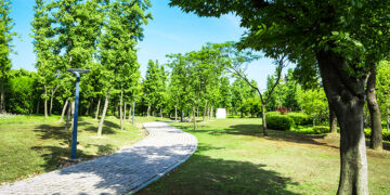 Parques com Vida em Loures celebra a Semana da Mobilidade!