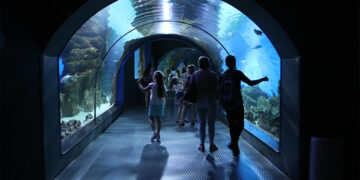 Últimos bilhetes para o Oceanário a 7,50€!