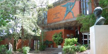 Entrevista Selo SaudávelMente - Colégio de São Miguel