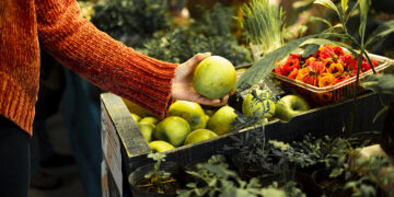 “The Edible Agroforestry – A New Concept For a Sustainable Tourism”: Gastronomia e Sustentabilidade na Escola de Hotelaria e Turismo de Lamego