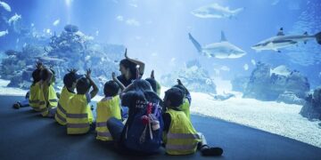 Oceanário de Lisboa é o spot perfeito para as férias da Páscoa (com bingo, escape room e teleférico)