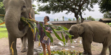 Gap Year Portugal: Moves-te?