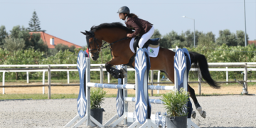 A tua ambição é estudares para trabalhar com cavalos? A EPADRPL espera por ti!