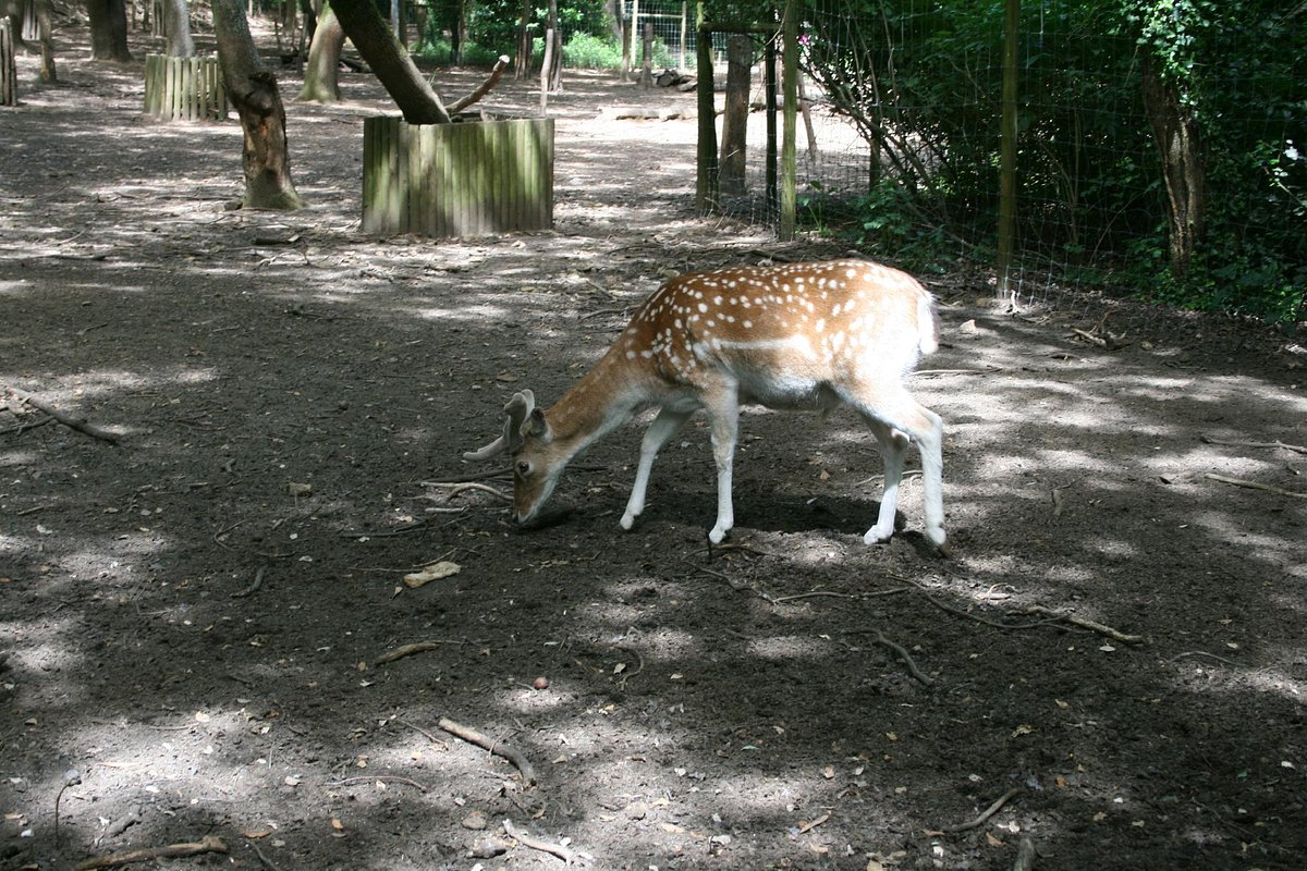 Parque Biológico de Gaia oferece um percurso de descoberta da natureza!