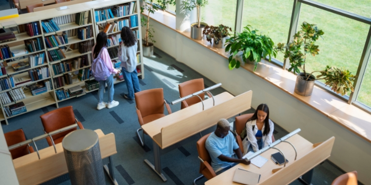 Quase 50 mil estudantes colocados no Ensino Superior (com Medicina e Educação Básica a atingir novo recorde)