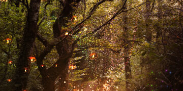 Bosque Encantado de Aldán esconde um "castelo medieval" abandonado