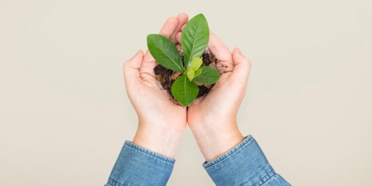 “À Velocidade do Sol” desafia Instituições de Ensino a atingirem liderança (em Educação Energética e Ambiental)