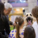 "Pet Festival" impulsiona concursos, workshops (e grooming)
