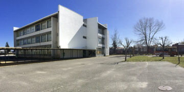 Afonso Pereira da Cruz vence distinção "Professor Doutor Lima-de-Faria"