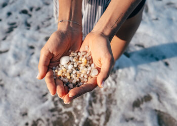 Setúbal promove "Proteção Marinha" (no Ensino Secundário)