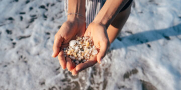 Setúbal promove "Proteção Marinha" (no Ensino Secundário)