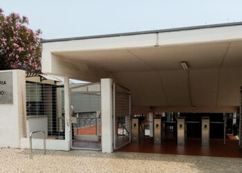 ADN Escolas: Escola Secundária António Damásio