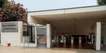 ADN Escolas: Escola Secundária António Damásio