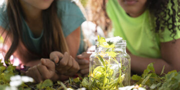 Fundação Repsol distingue projetos (de Transição Ecológica)