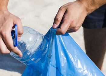 "Reciclar é Fish!" envolve 400 participantes (nas praias do Porto)