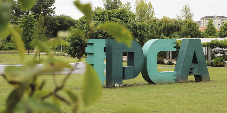 IPCA aposta em Cursos Técnicos Superiores Profissionais (com Deloitte, CJR Renewables e NKT)