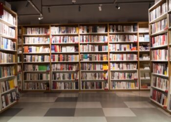 "Story Owl" oferece quizzes de Harry Potter (e latte art)