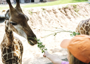 Jardim Zoológico propõe aulas (ao ar livre)